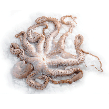 Image for product Hobotnica +3000g