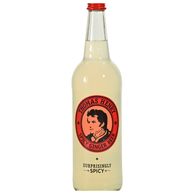 Ginger beer 0.75l