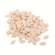 MARJAN VOĆE Bučine sjemenke pržene rinfuza