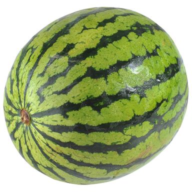 Image for product Lubenica mini