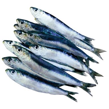 Image for product Srdela svježa