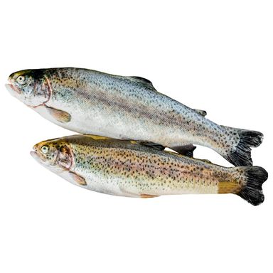 Image for product Pastrva svježa