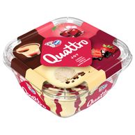 Sladoled joy (zuppa inglese, jagoda, višnja, vanilija) 1.65l