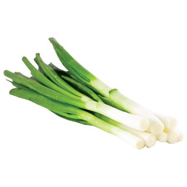 Image for product Mladi luk, vezica