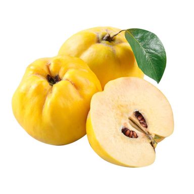 Image for product Dunja