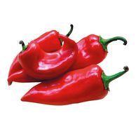 Paprika rog crvena