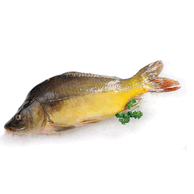 Šaran cijeli svježi orahovica