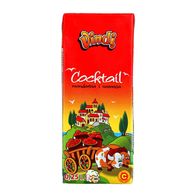 Sok koktel mandarina naranča 0.25l