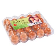 Jaja podni uzgoj razred s